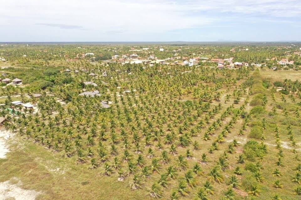 Terreno, 600 m² - Foto 7