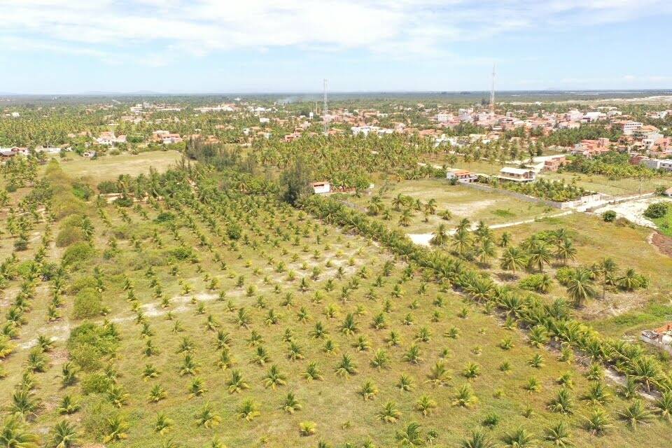 Terreno à venda, 16000m² - Foto 7