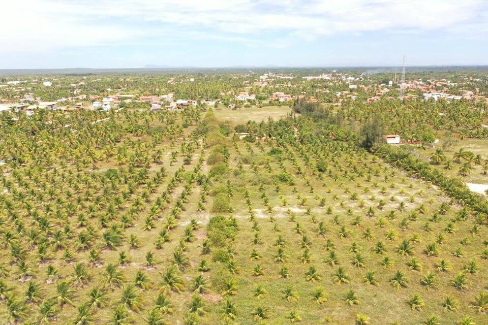 Terreno à venda, 16000m² - Foto 8