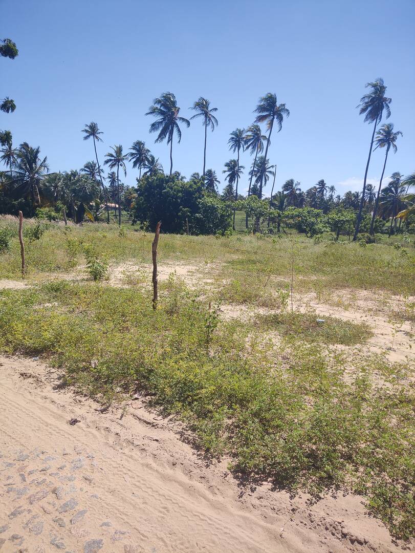 Terreno, 600 m² - Foto 9