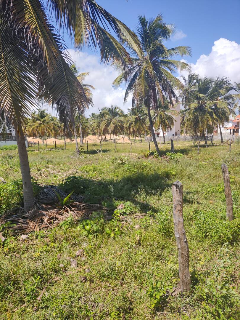 Terreno, 600 m² - Foto 14