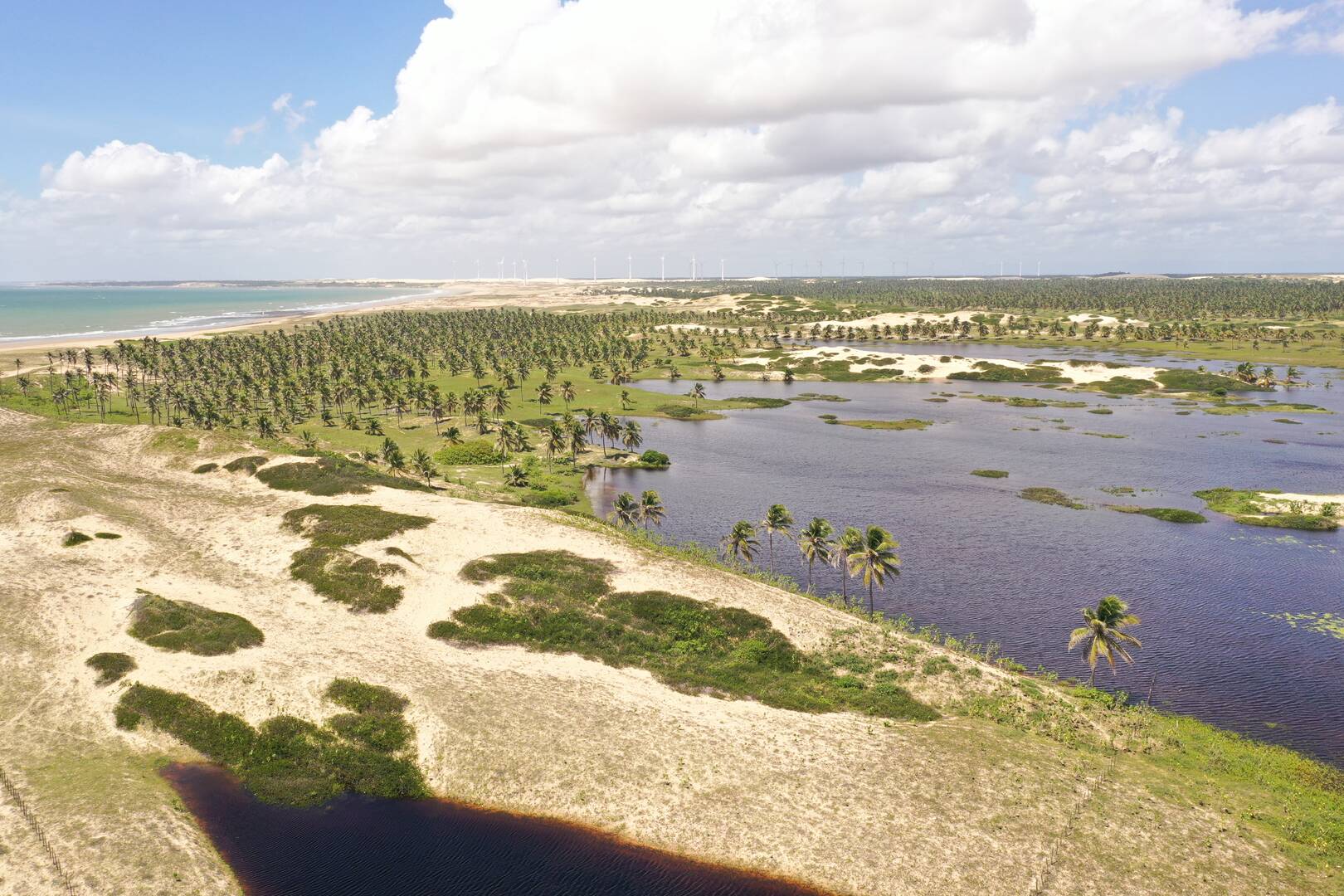 Terreno à venda, 5000m² - Foto 5