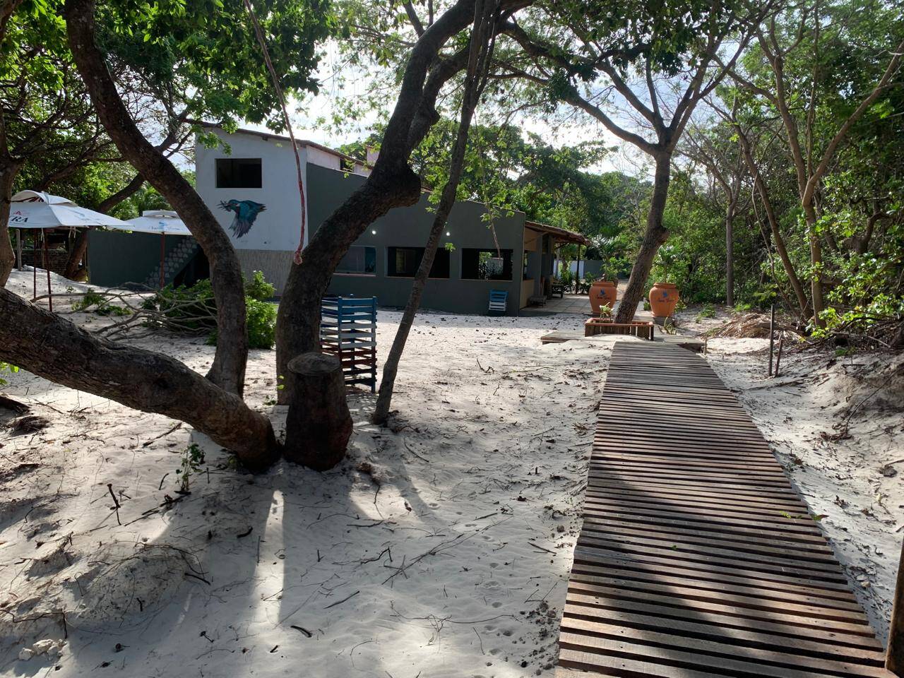 Terreno, 1000 m² - Foto 3