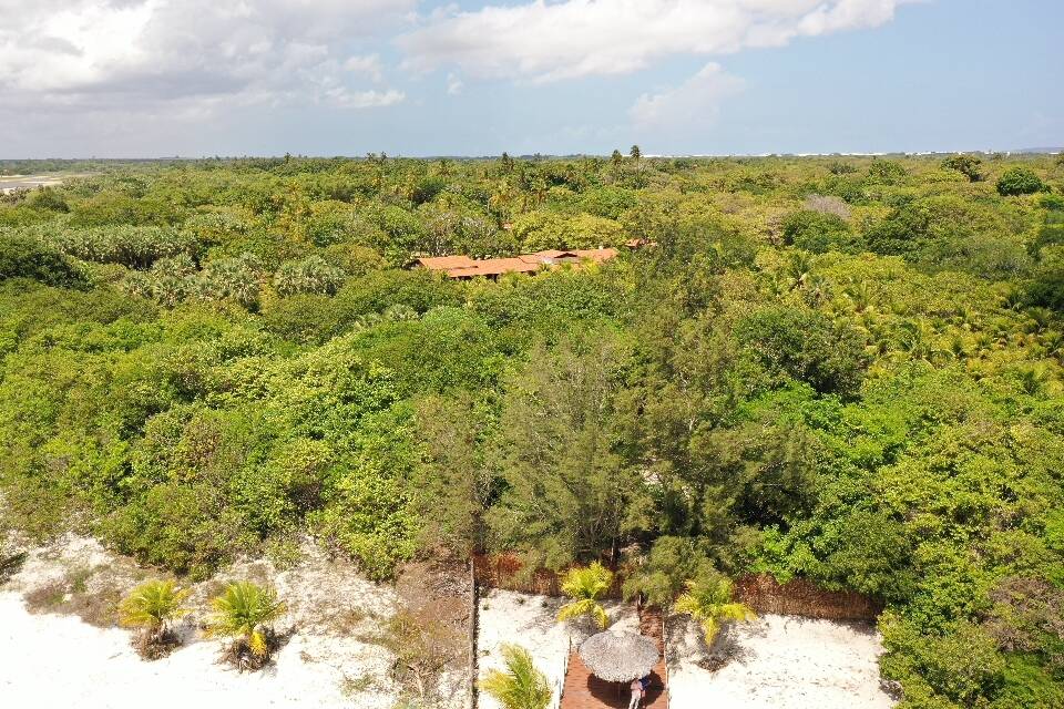 Terreno, 3 hectares - Foto 40