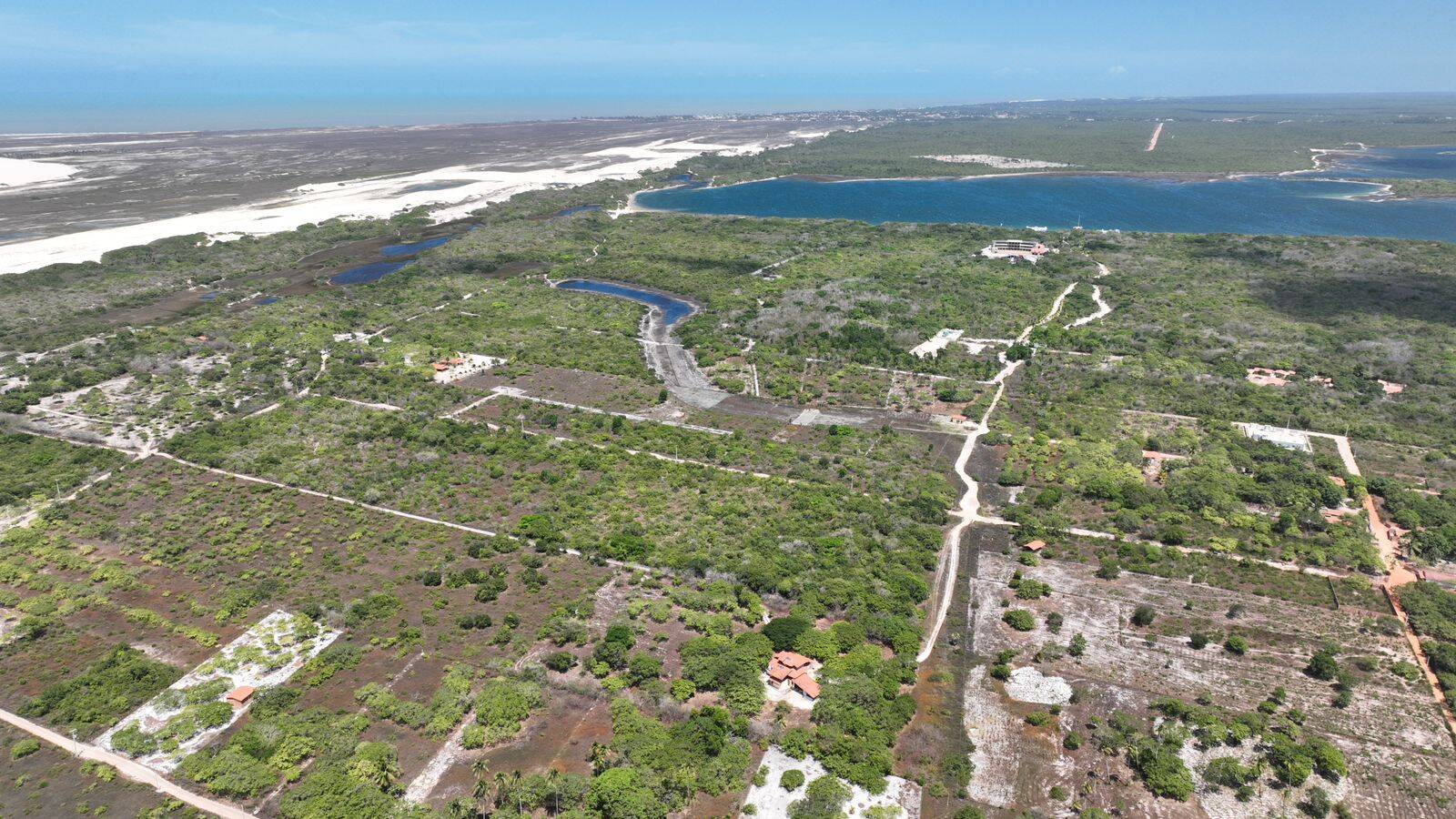 Terreno, 5 hectares - Foto 4