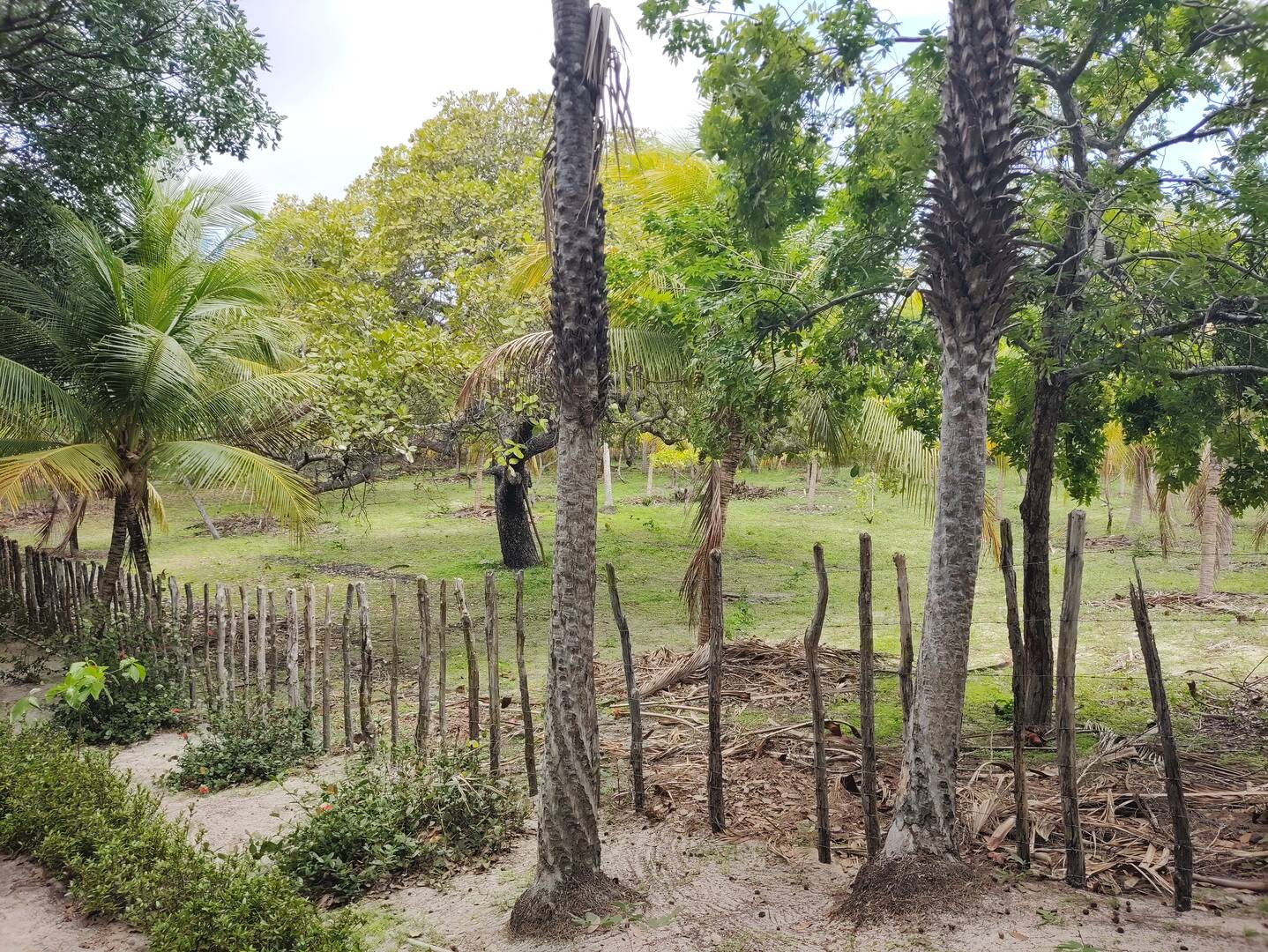 Terreno, 5 hectares - Foto 25