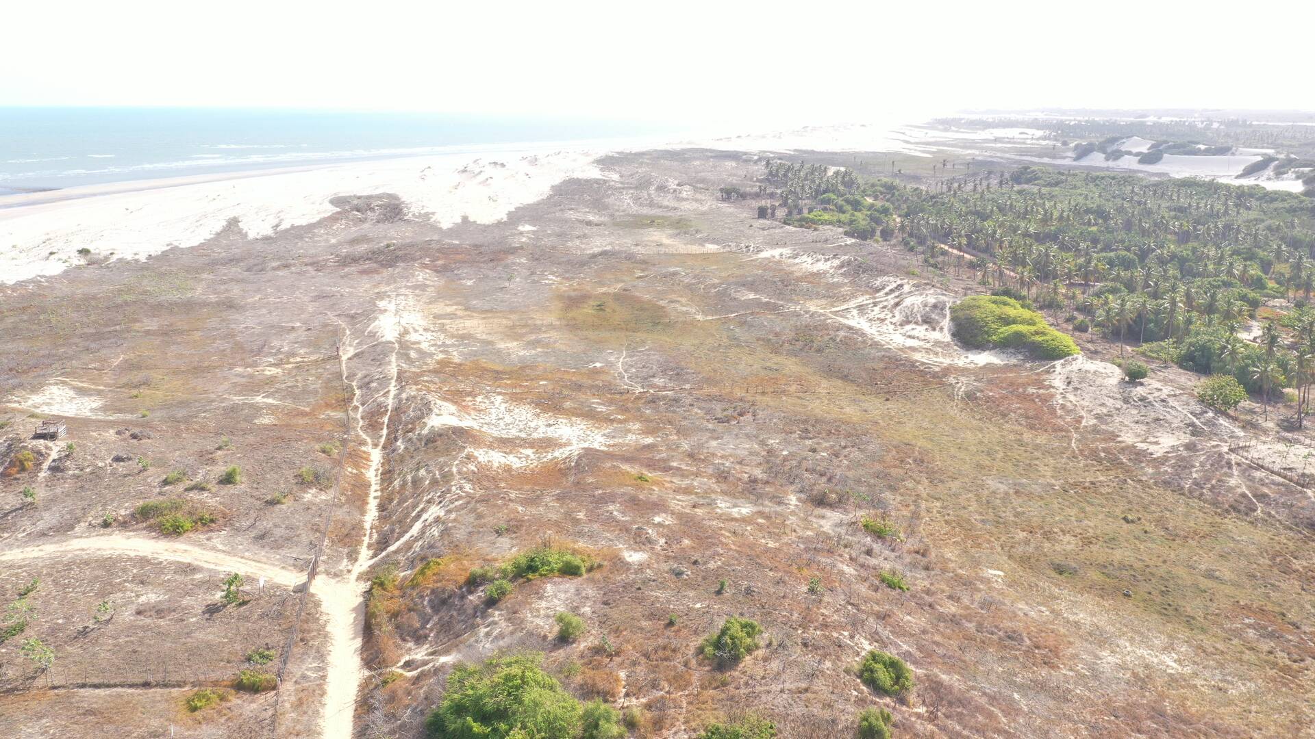 Terreno, 6000 m² - Foto 1