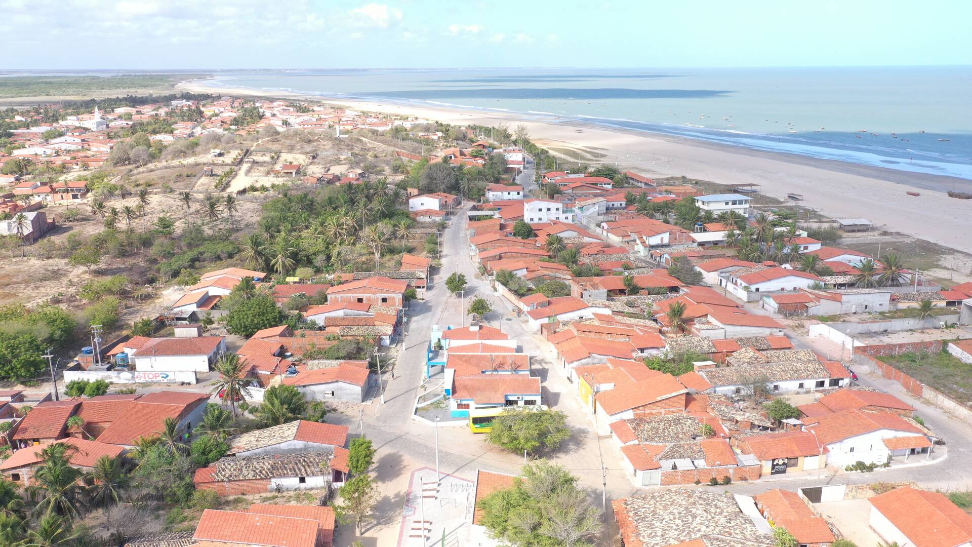 Terreno, 5 hectares - Foto 7