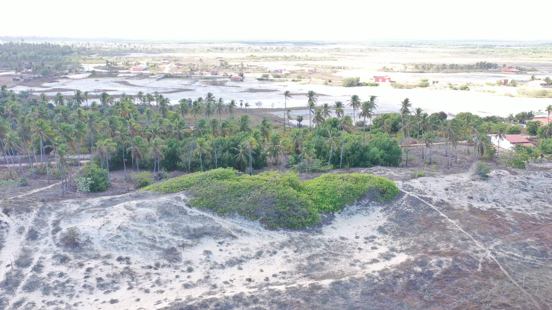 Terreno, 5 hectares - Foto 32