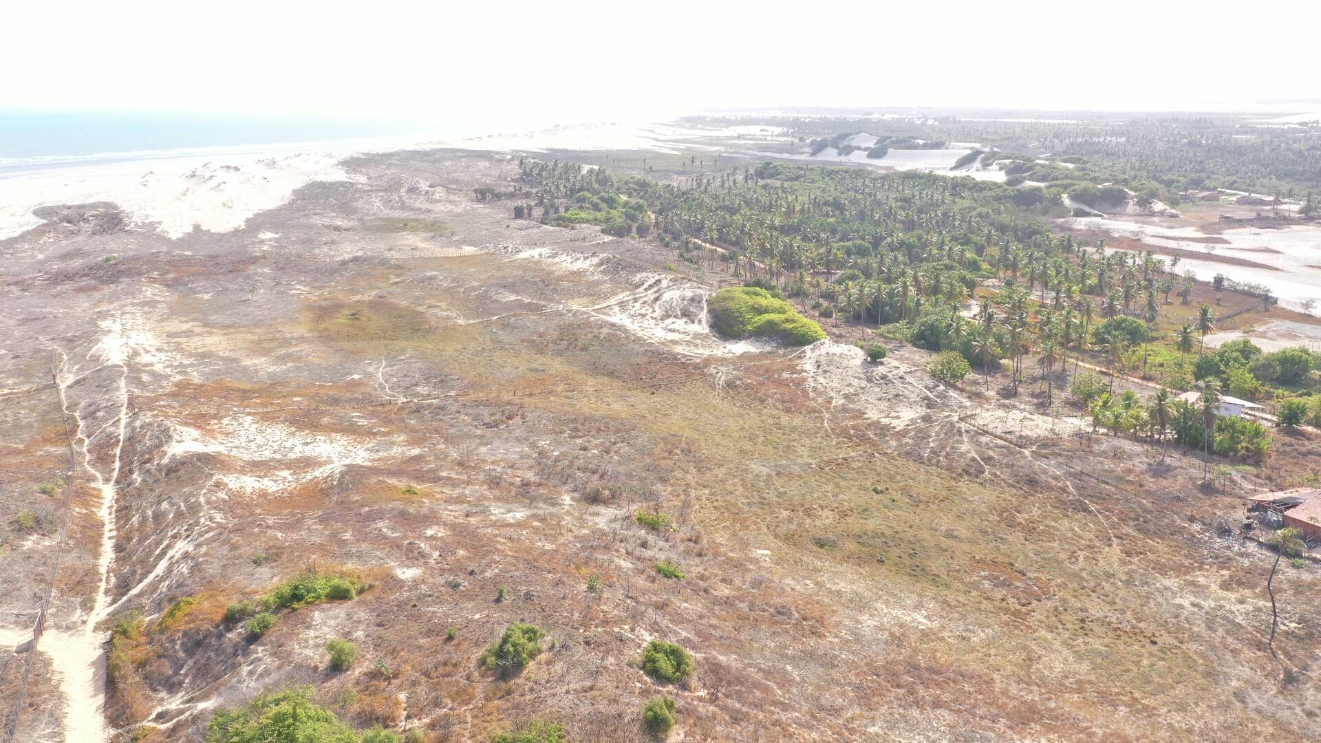 Terreno, 7000 m² - Foto 12