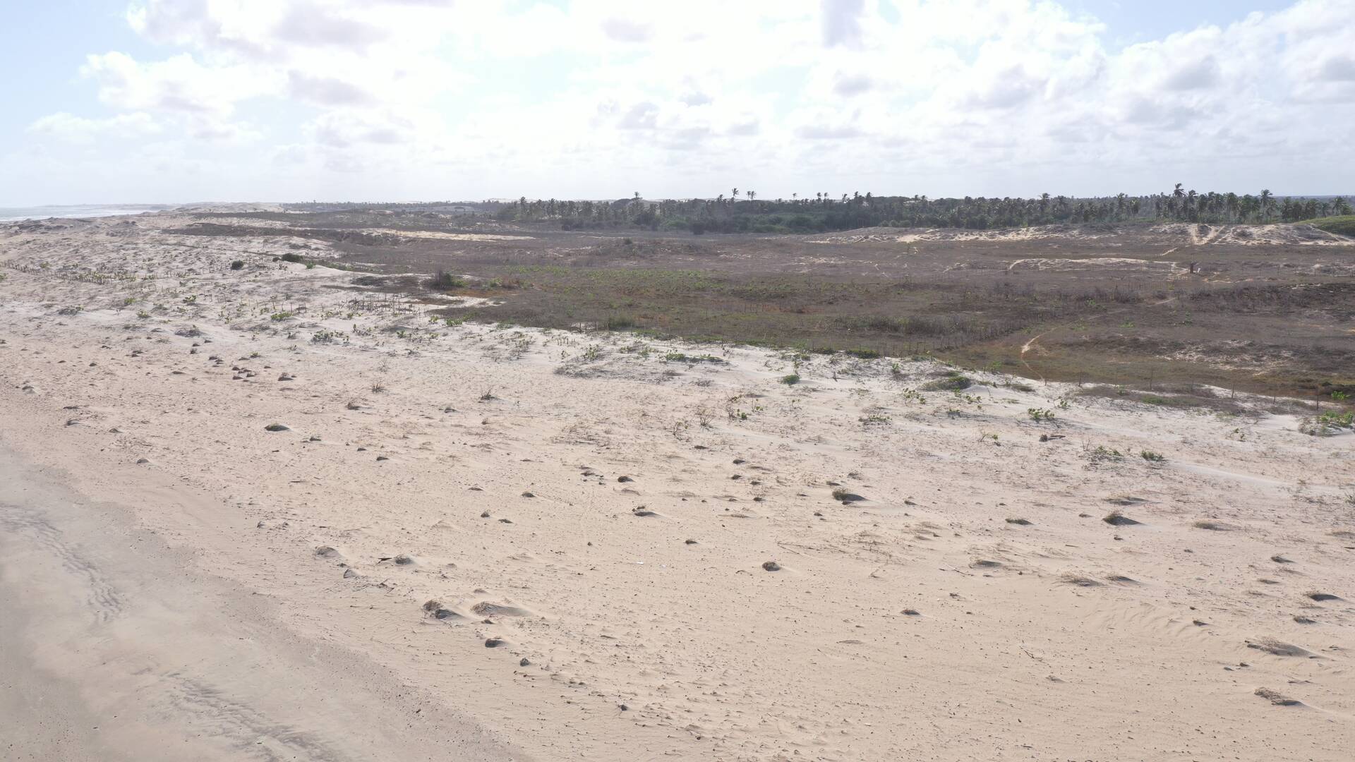 Terreno, 7000 m² - Foto 24