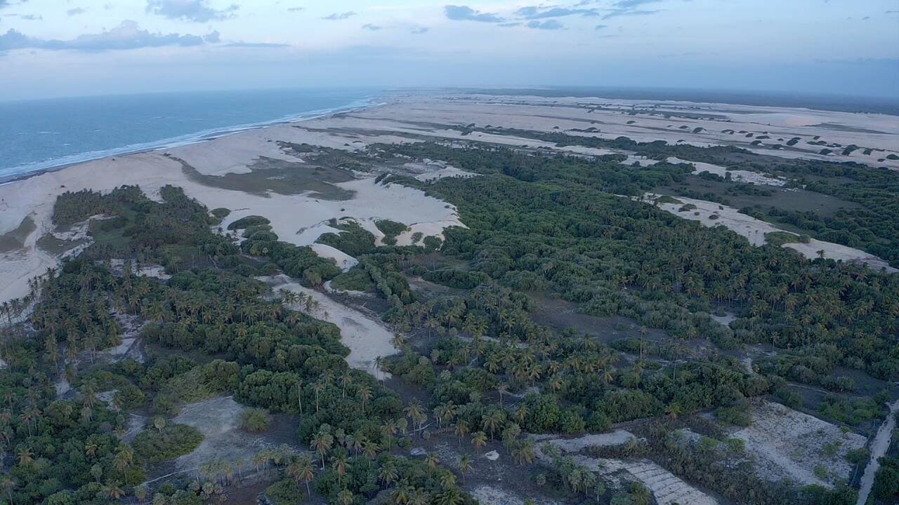 Terreno, 1000 m² - Foto 21