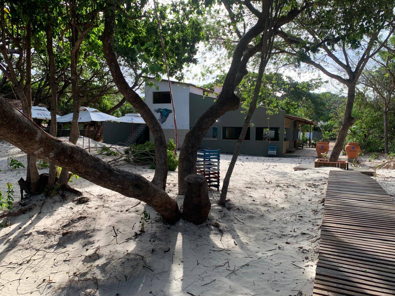 Terreno, 2850 m² - Foto 9