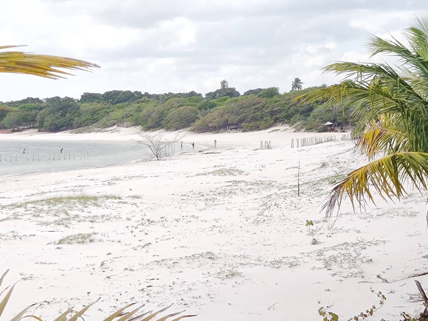 Terreno, 2850 m² - Foto 24