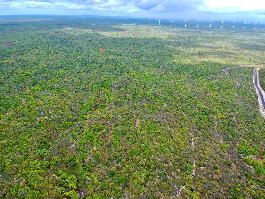 Terreno à venda, 970000m² - Foto 5