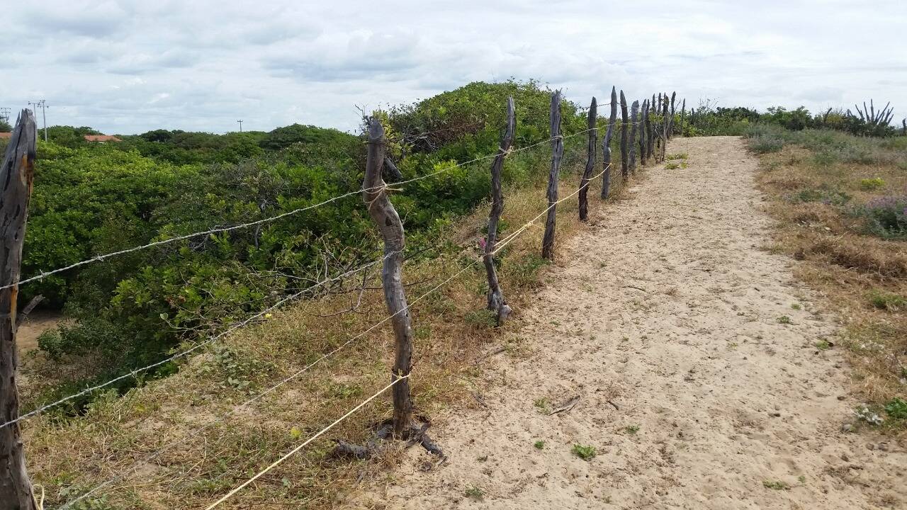 Terreno, 3375 m² - Foto 6