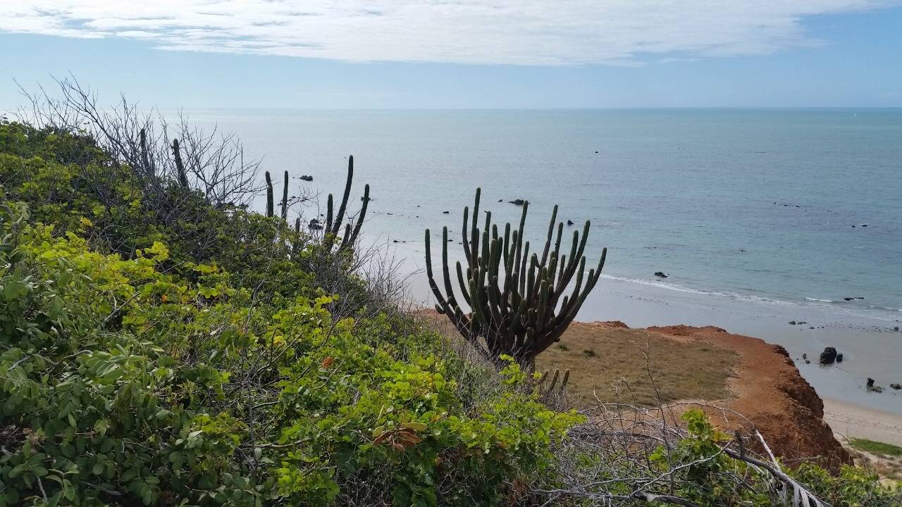 Terreno, 3375 m² - Foto 25