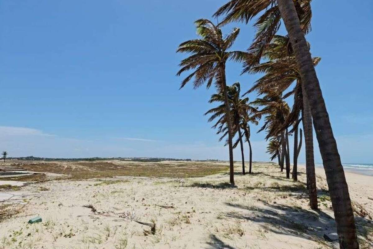 Terreno à venda, 7200m² - Foto 3