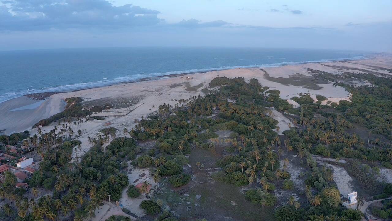 Terreno, 10000 m² - Foto 4