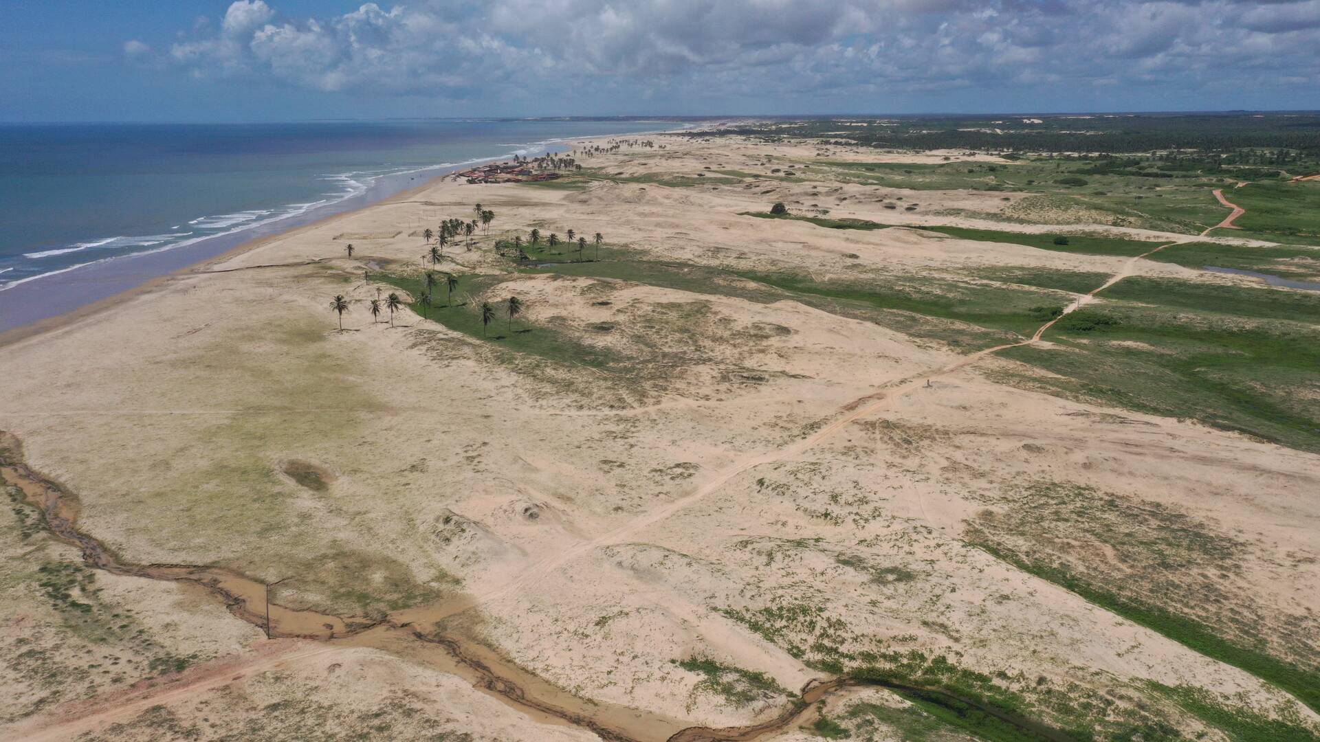 Terreno, 10000 m² - Foto 17