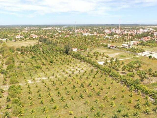 Terreno para Venda em Cruz - 5