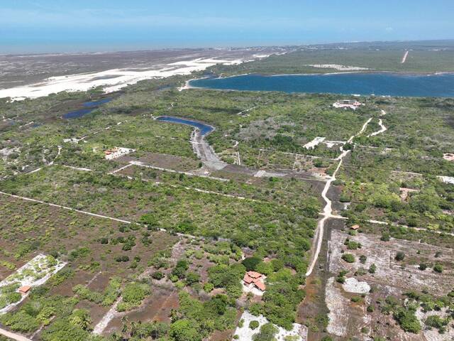 Terreno para Venda em Jijoca de Jericoacoara - 4