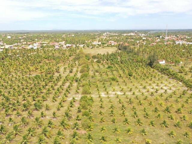 Terreno para Venda em Cruz - 5