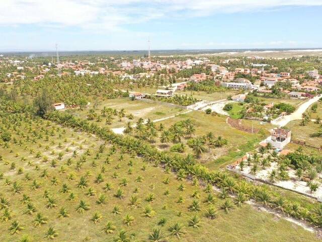 Terreno para Venda em Cruz - 3
